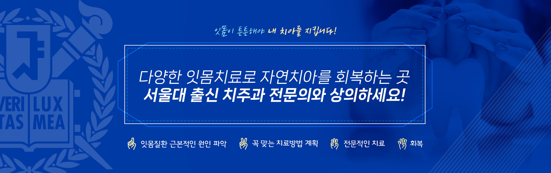 다양한 잇몸치료로 자연치아를 회복하는 곳, 서울대 출신 치주과 전문의와 상의하세요!
